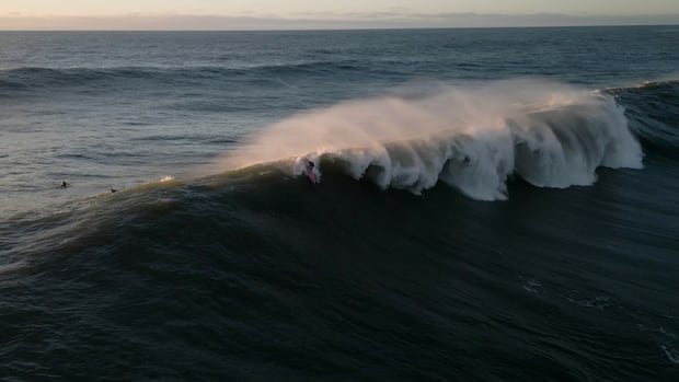 Rogue waves are little known and can kill. Here's why they're so dangerous